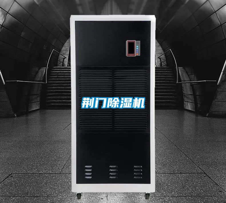 荆门茄子视频懂你更多在线观看