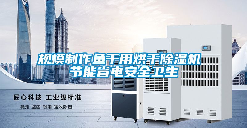 规模制作鱼干用烘干茄子视频懂你更多在线观看 节能省电安全卫生