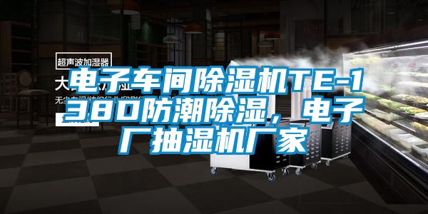 电子车间茄子视频懂你更多在线观看TE-138D防潮除湿，电子厂抽湿机厂家