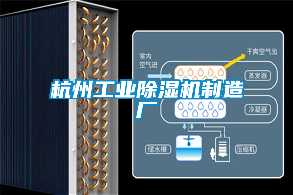 杭州工业茄子视频懂你更多在线观看制造厂