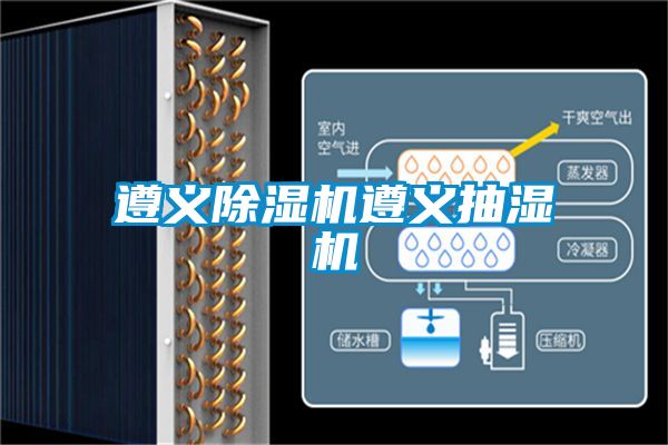 遵义茄子视频懂你更多在线观看遵义抽湿机