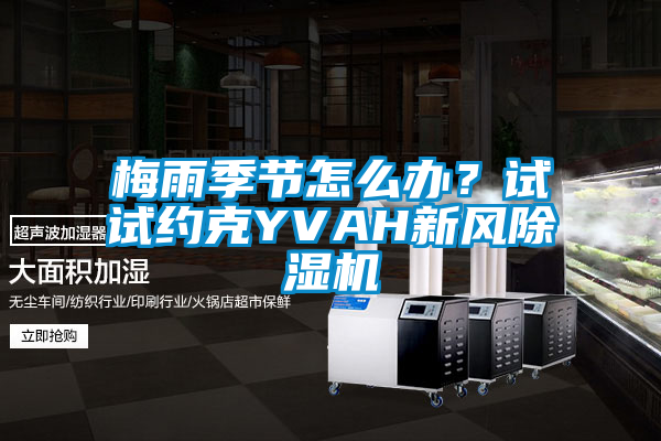 梅雨季节怎么办？试试约克YVAH新风茄子视频懂你更多在线观看