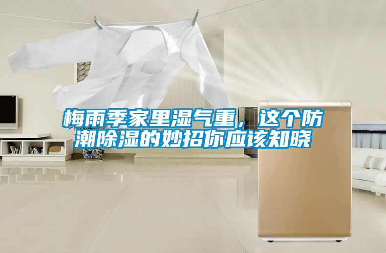 梅雨季家里湿气重，这个防潮除湿的妙招你应该知晓