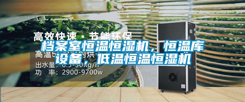 档案室恒温恒湿机，恒温库设备，低温恒温恒湿机