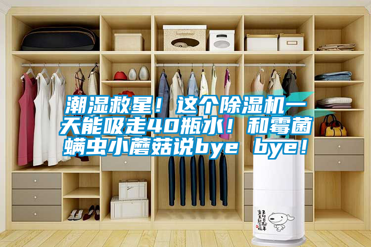 潮湿救星！这个茄子视频懂你更多在线观看一天能吸走40瓶水！和霉菌螨虫小蘑菇说bye bye！