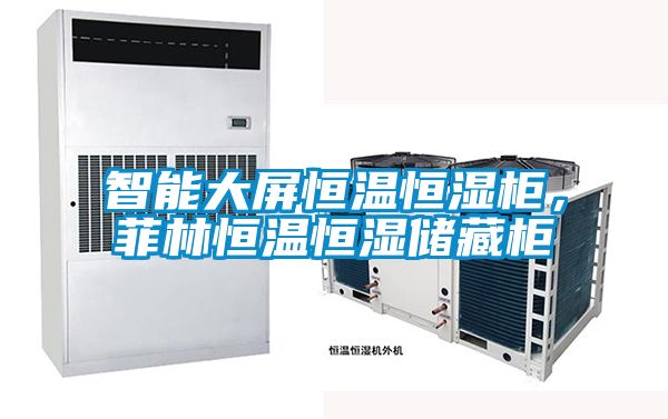 智能大屏恒温恒湿柜，菲林恒温恒湿储藏柜