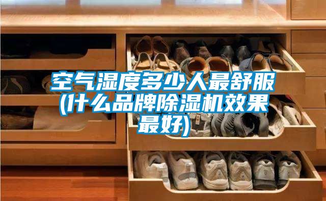 空气湿度多少人最舒服(什么品牌茄子视频懂你更多在线观看效果最好)