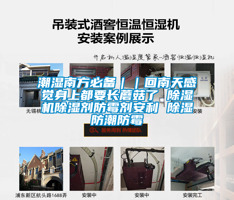 潮湿南方必备||回南天感觉身上都要长蘑菇了 茄子视频懂你更多在线观看除湿剂防霉剂安利 除湿防潮防霉