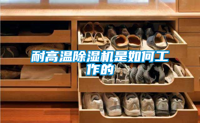 耐高温茄子视频懂你更多在线观看是如何工作的