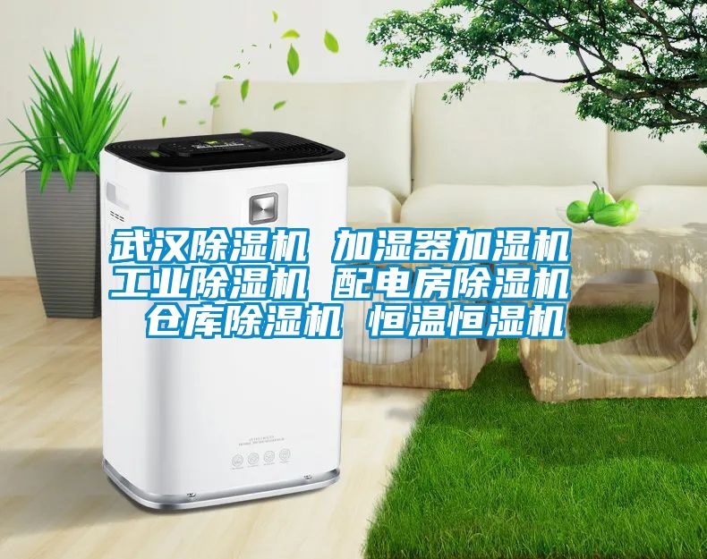 武汉茄子视频懂你更多在线观看 加湿器加湿机 工业茄子视频懂你更多在线观看 配电房茄子视频懂你更多在线观看 仓库茄子视频懂你更多在线观看 恒温恒湿机