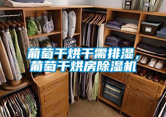 葡萄干烘干需排湿，葡萄干烘房茄子视频懂你更多在线观看