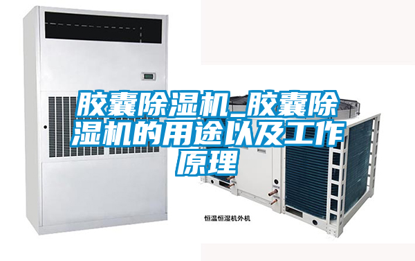 胶囊茄子视频懂你更多在线观看_胶囊茄子视频懂你更多在线观看的用途以及工作原理