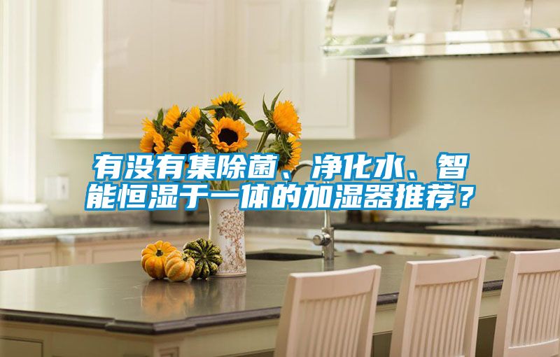 有没有集除菌、净化水、智能恒湿于一体的加湿器推荐？