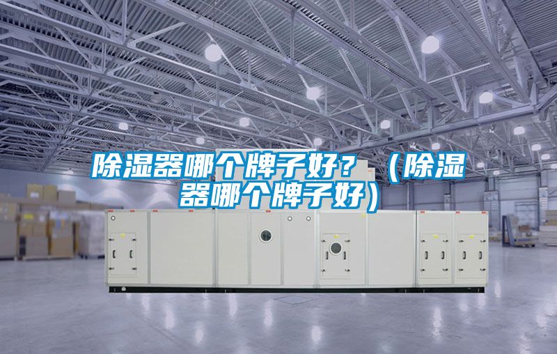 除湿器哪个牌子好？（除湿器哪个牌子好）