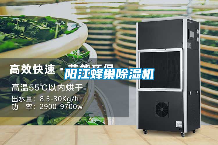 阳江蜂巢茄子视频懂你更多在线观看