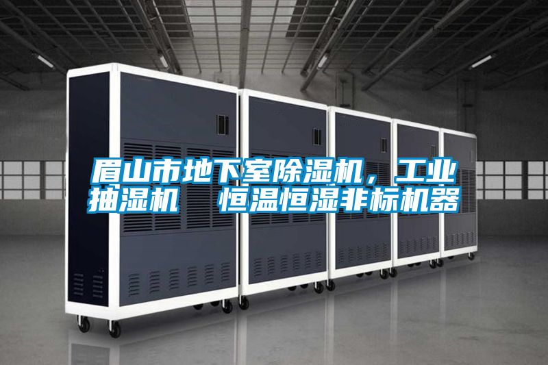 眉山市地下室茄子视频懂你更多在线观看，工业抽湿机  恒温恒湿非标机器