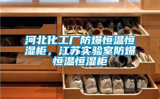 河北化工厂防爆恒温恒湿柜，江苏实验室防爆恒温恒湿柜