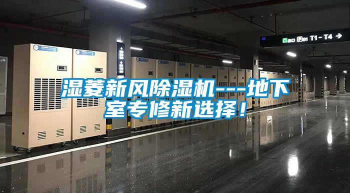 湿菱新风茄子视频懂你更多在线观看---地下室专修新选择！