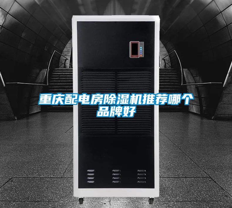 重庆配电房茄子视频懂你更多在线观看推荐哪个品牌好