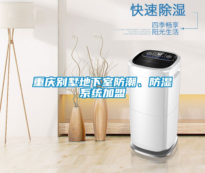 重庆别墅地下室防潮、防湿系统加盟