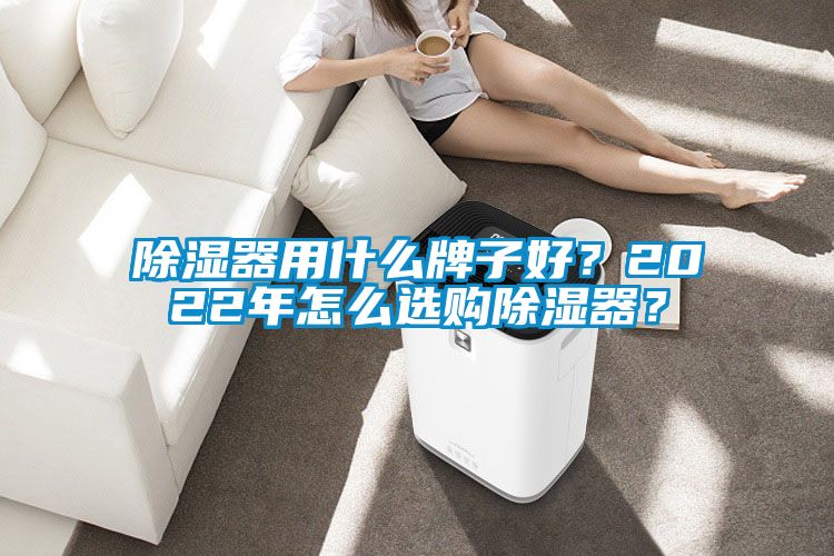 除湿器用什么牌子好？2022年怎么选购除湿器？