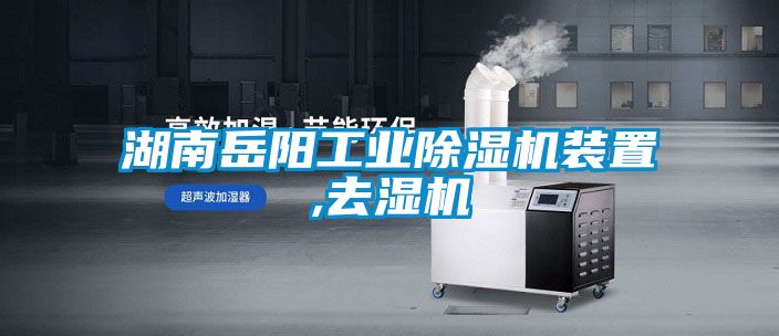 湖南岳阳工业茄子视频懂你更多在线观看装置,去湿机