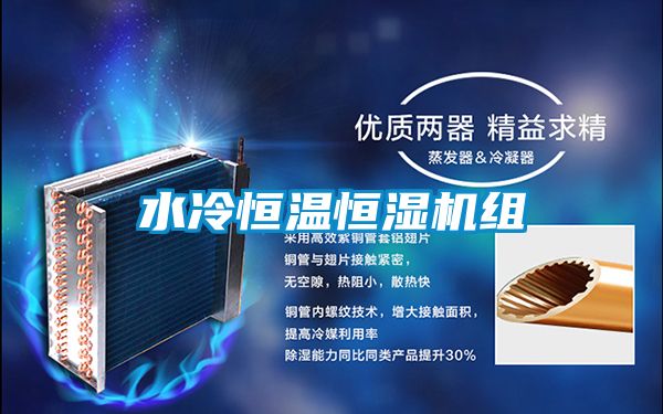 水冷恒温恒湿机组