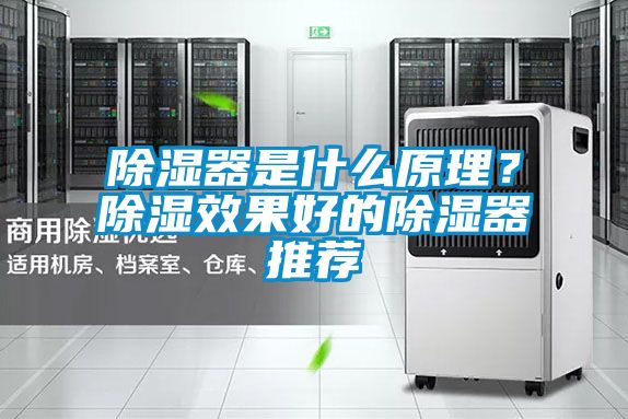 除湿器是什么原理？除湿效果好的除湿器推荐