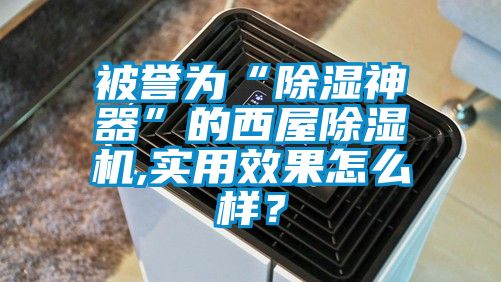 被誉为“除湿神器”的西屋茄子视频懂你更多在线观看,实用效果怎么样？