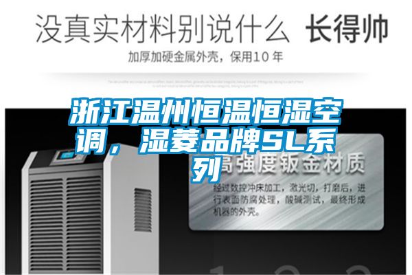 浙江温州恒温恒湿空调，湿菱品牌SL系列