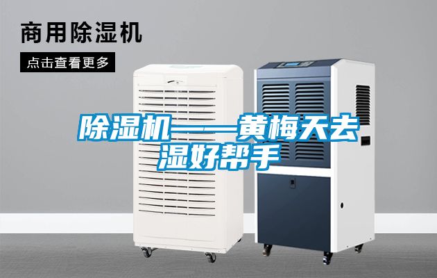 茄子视频懂你更多在线观看——黄梅天去湿好帮手