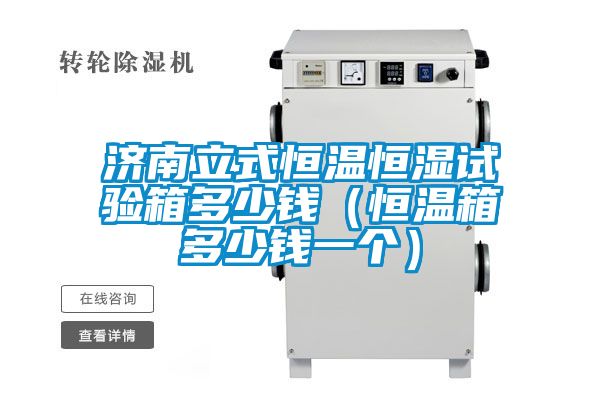 济南立式恒温恒湿试验箱多少钱(恒温箱多少钱一个)