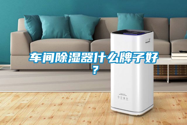 车间除湿器什么牌子好？