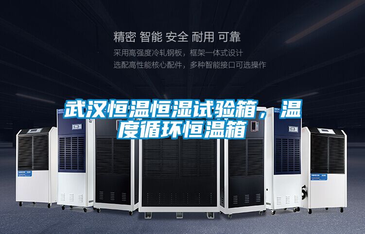 武汉恒温恒湿试验箱，温度循环恒温箱