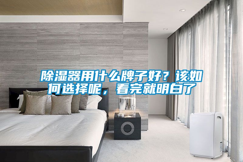 除湿器用什么牌子好？该如何选择呢，看完就明白了