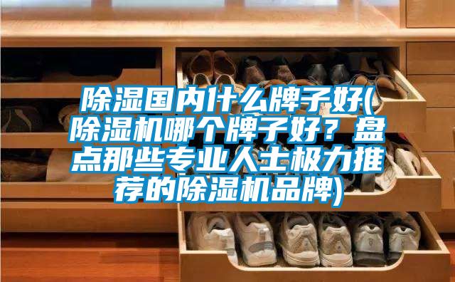 除湿国内什么牌子好(茄子视频懂你更多在线观看哪个牌子好？盘点那些专业人士极力推荐的茄子视频懂你更多在线观看品牌)