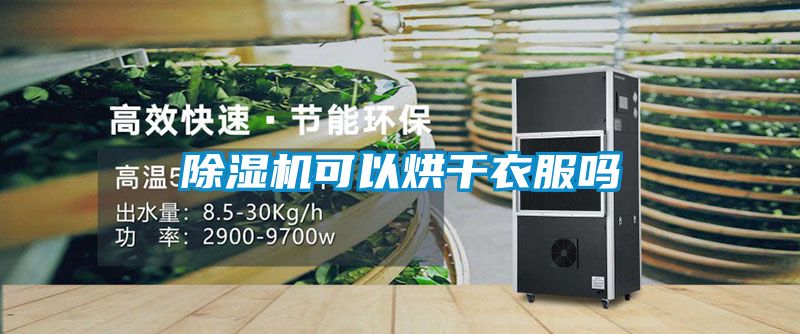 茄子视频懂你更多在线观看可以烘干衣服吗