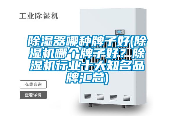 除湿器哪种牌子好(茄子视频懂你更多在线观看哪个牌子好？茄子视频懂你更多在线观看行业十大知名品牌汇总)