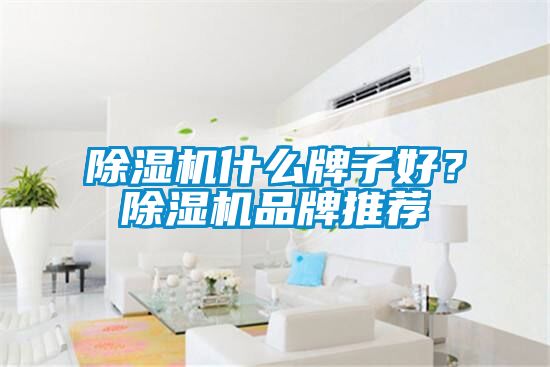 茄子视频懂你更多在线观看什么牌子好？茄子视频懂你更多在线观看品牌推荐