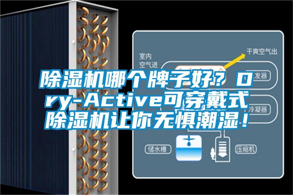 茄子视频懂你更多在线观看哪个牌子好？Dry-Active可穿戴式茄子视频懂你更多在线观看让你无惧潮湿！
