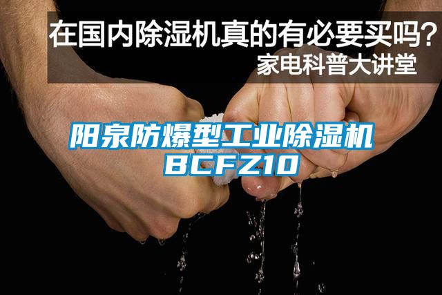 阳泉防爆型工业茄子视频懂你更多在线观看 BCFZ10