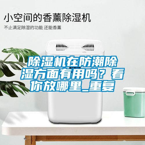 茄子视频懂你更多在线观看在防潮除湿方面有用吗？看你放哪里_重复