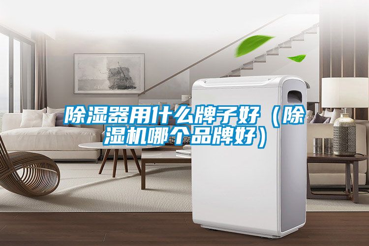 除湿器用什么牌子好(茄子视频懂你更多在线观看哪个品牌好)