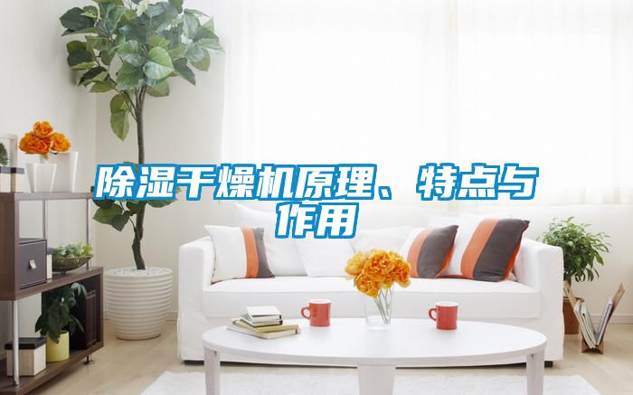 除湿干燥机原理、特点与作用