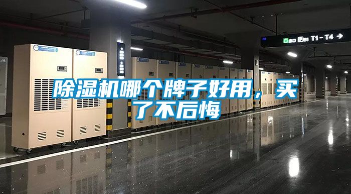 茄子视频懂你更多在线观看哪个牌子好用，买了不后悔