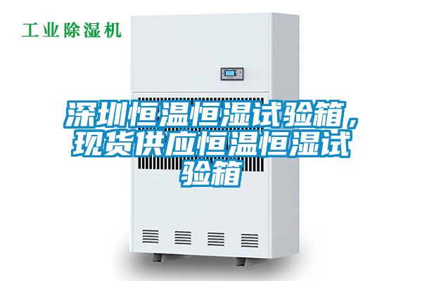 深圳恒温恒湿试验箱，现货供应恒温恒湿试验箱