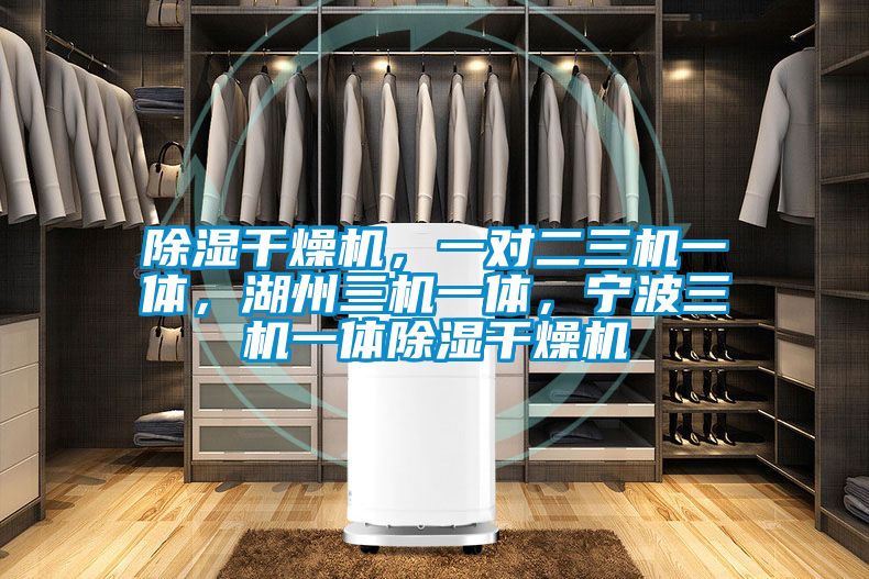 除湿干燥机，一对二三机一体，湖州三机一体，宁波三机一体除湿干燥机