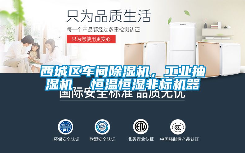 西城区车间茄子视频懂你更多在线观看,工业抽湿机 恒温恒湿非标机器