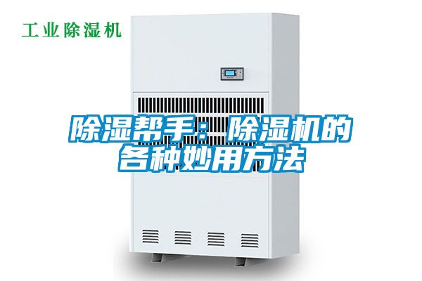 除湿帮手：茄子视频懂你更多在线观看的各种妙用方法