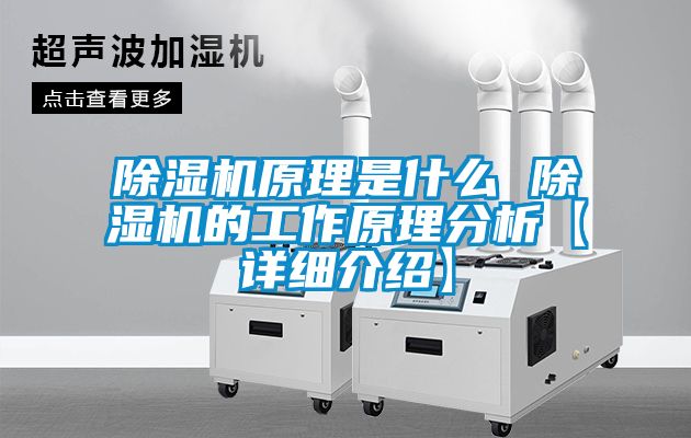 茄子视频懂你更多在线观看原理是什么 茄子视频懂你更多在线观看的工作原理分析【详细介绍】